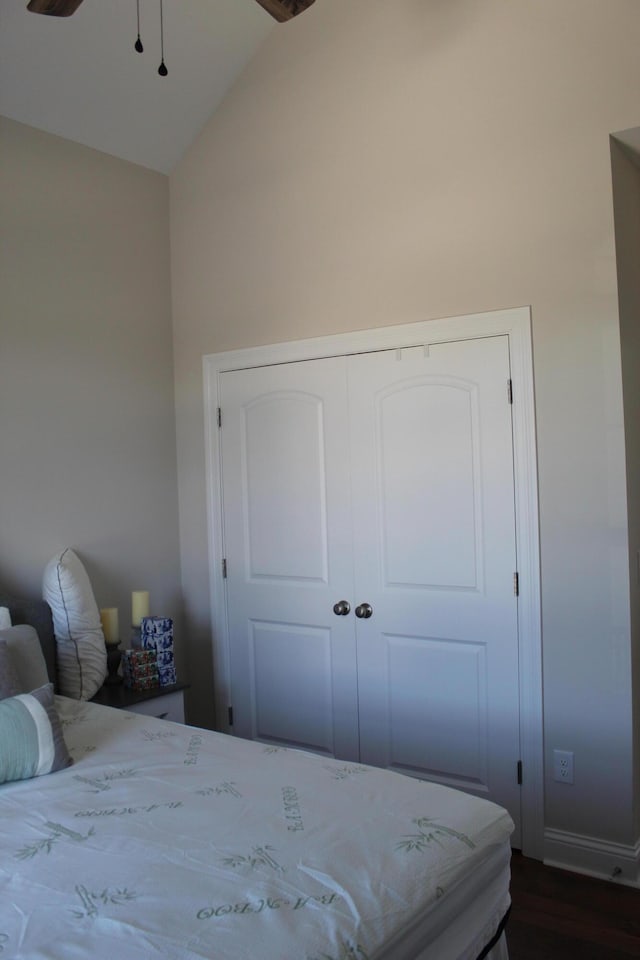 212 Patrum Sisters Way, Danville, KY 40422 - bedroom with high vaulted ceiling, dark wood-type flooring, and a closet