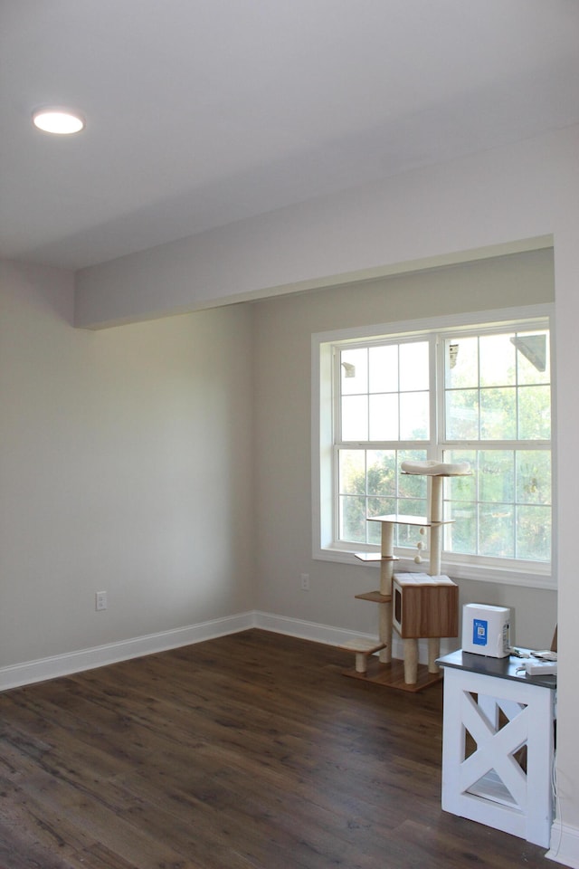 spare room with dark hardwood / wood-style floors and plenty of natural light