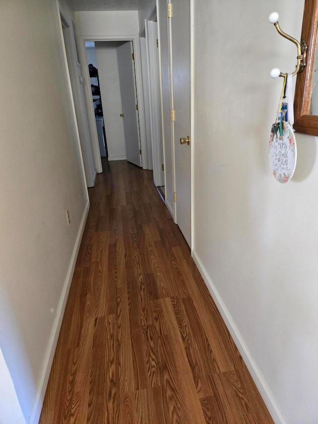 corridor featuring dark wood-type flooring