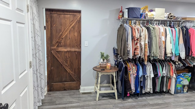 walk in closet featuring wood-type flooring