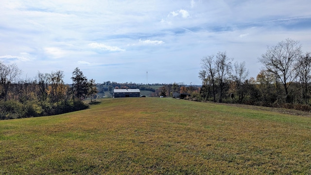 view of yard featuring a rural view