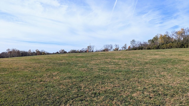 view of yard featuring a rural view