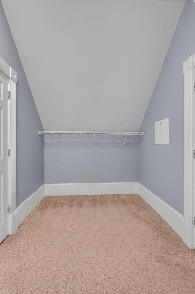 spacious closet featuring carpet and vaulted ceiling