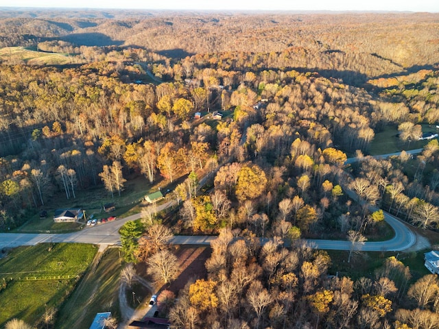 41 Belle Point Rd, Beattyville, KY 41311