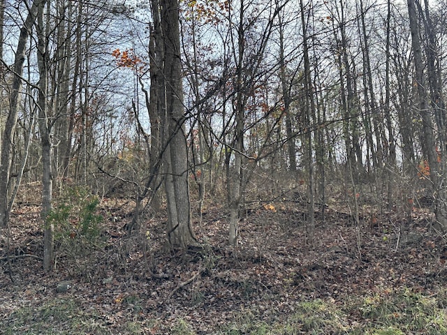 41 Belle Point Rd, Beattyville, KY 41311