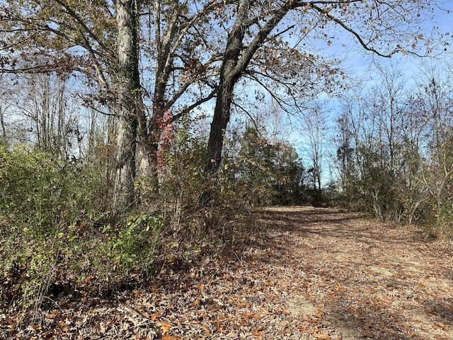 41 Belle Point Rd, Beattyville, KY 41311