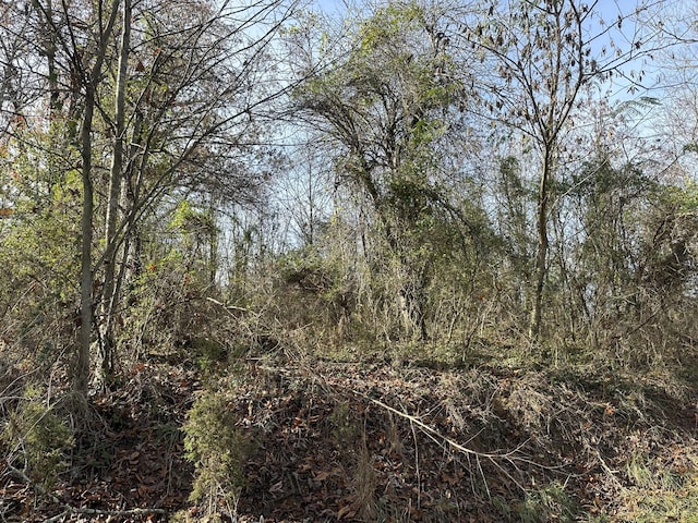 41 Belle Point Rd, Beattyville, KY 41311