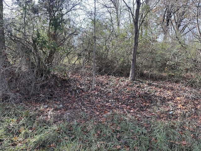 41 Belle Point Rd, Beattyville, KY 41311