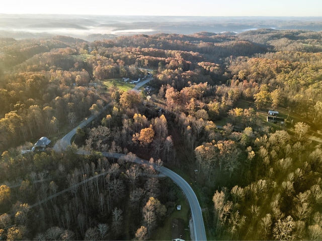 41 Belle Point Rd, Beattyville, KY 41311