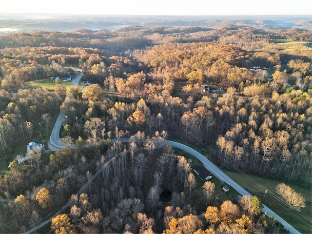 41 Belle Point Rd, Beattyville, KY 41311