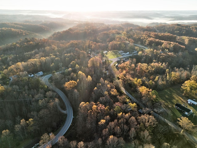 41 Belle Point Rd, Beattyville, KY 41311