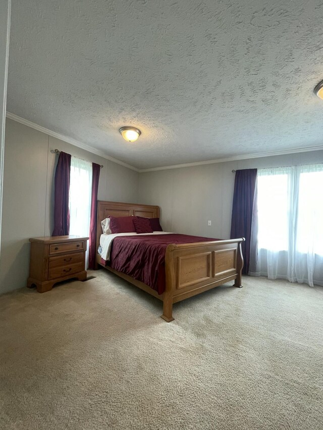 1455 Nepton Rd, Ewing, KY 41039 - carpeted bedroom featuring ornamental molding and a textured ceiling