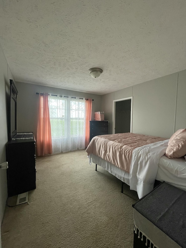 1455 Nepton Rd, Ewing, KY 41039 - carpeted bedroom featuring a textured ceiling