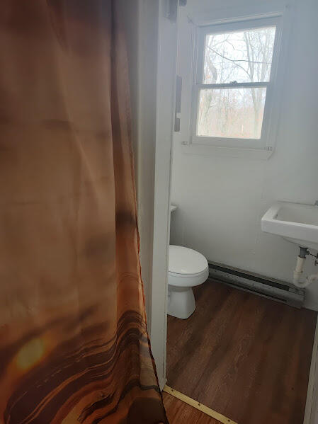 bathroom with sink, wood-type flooring, a baseboard radiator, and toilet