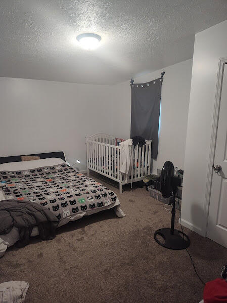 bedroom featuring carpet floors and a textured ceiling