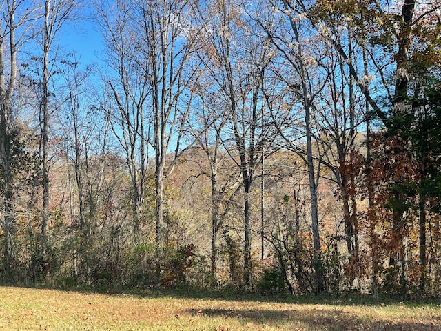 Listing photo 3 for LOT56 Stillwater, Russell Springs KY 42642