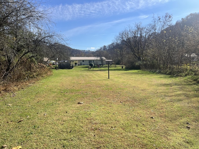 view of grassy yard