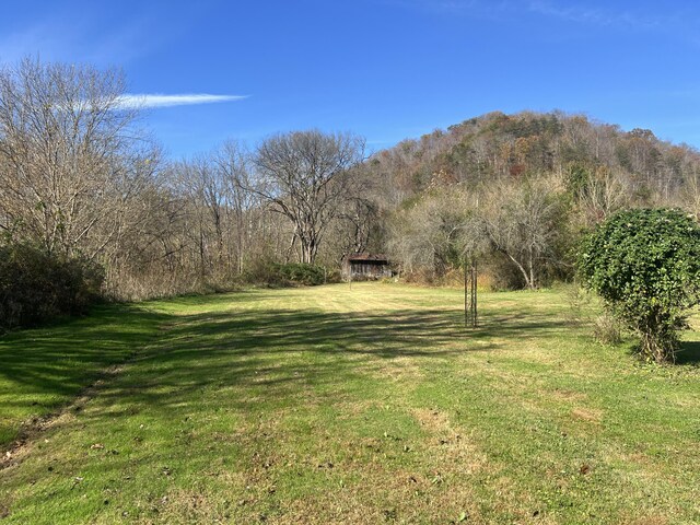 view of green lawn featuring a wooded view