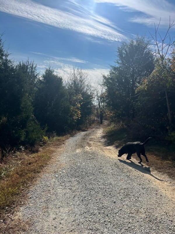 view of road