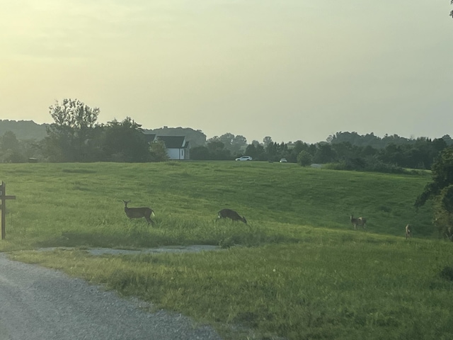 view of yard with a rural view