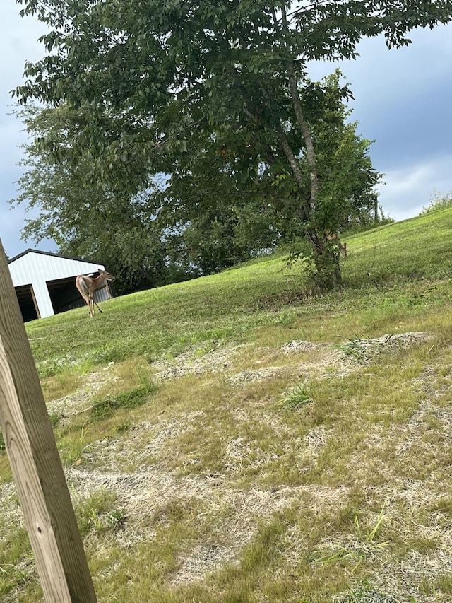 view of yard with a pole building and an outdoor structure