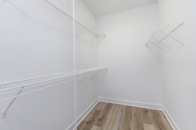 spacious closet with hardwood / wood-style flooring