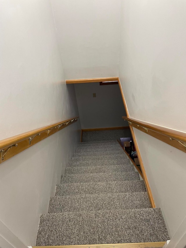 stairway featuring carpet flooring