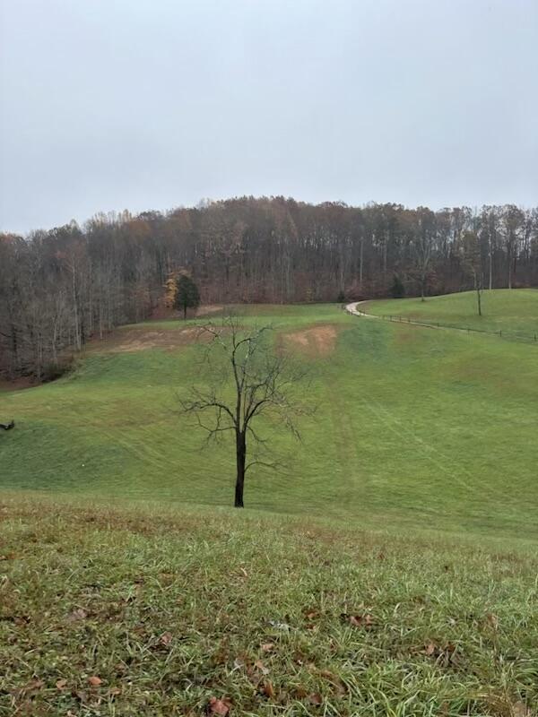 view of yard featuring a rural view