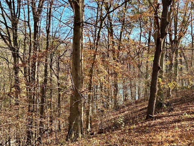 view of local wilderness