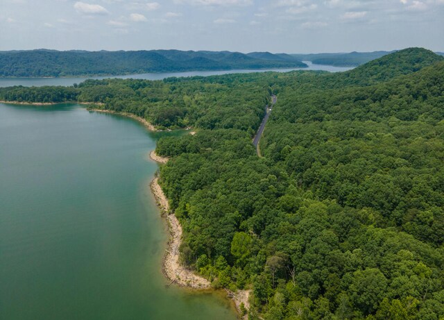 birds eye view of property featuring a water and mountain view