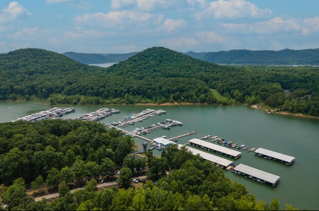 bird's eye view with a water and mountain view