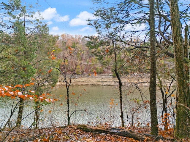 property view of water