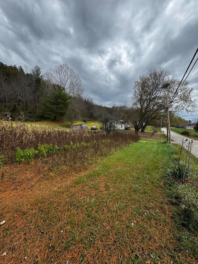 view of yard featuring a rural view