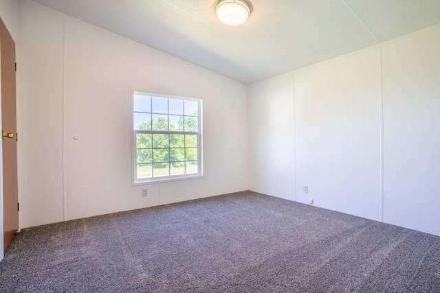 unfurnished room featuring vaulted ceiling and carpet