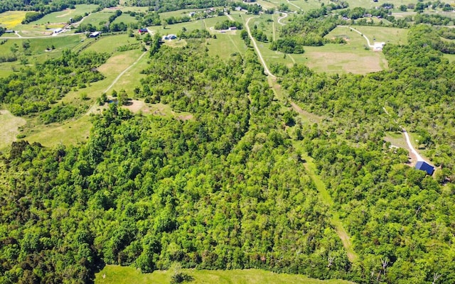 bird's eye view featuring a rural view