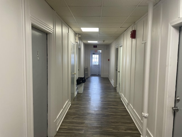 corridor with a paneled ceiling, dark wood-type flooring, and radiator