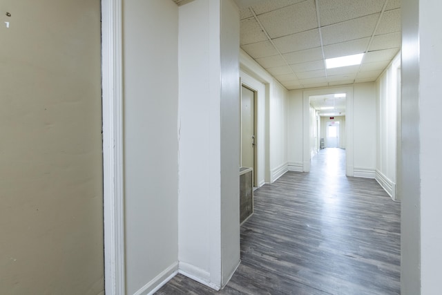 corridor with a drop ceiling and dark hardwood / wood-style flooring