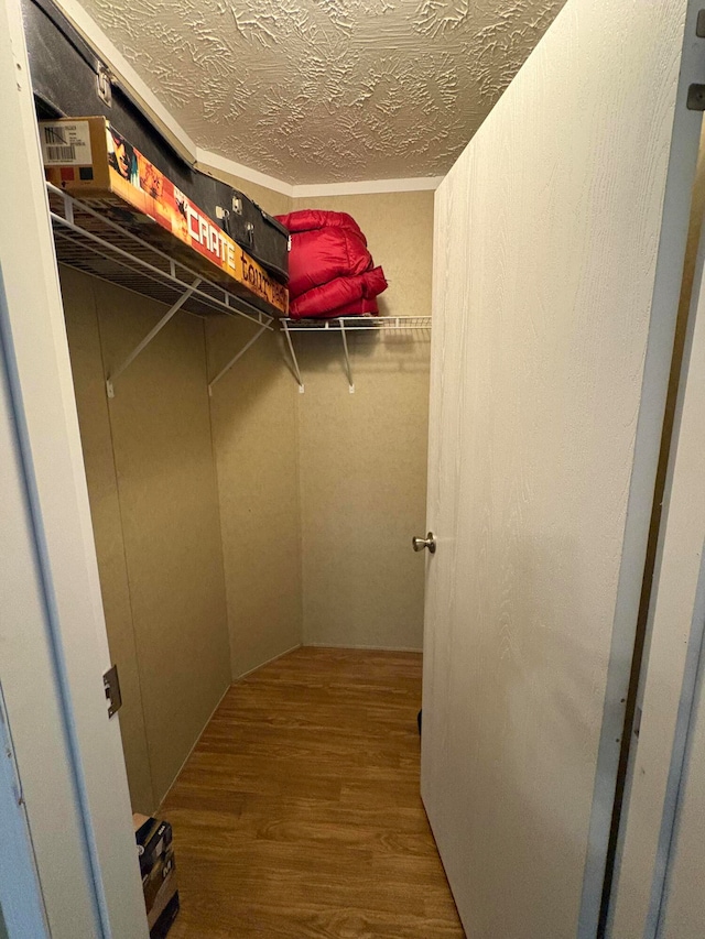 walk in closet featuring hardwood / wood-style flooring