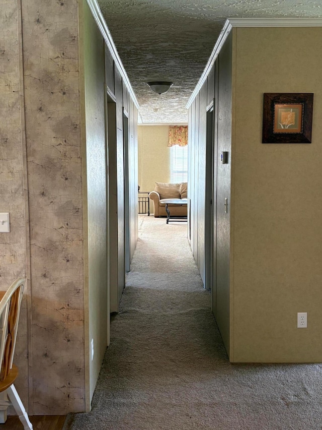 hall with a textured ceiling, light colored carpet, and ornamental molding