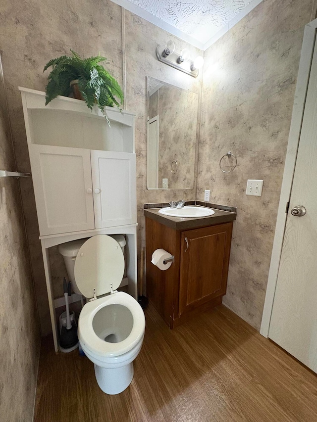 bathroom with wood-type flooring, a textured ceiling, toilet, and vanity