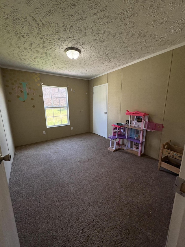 580 Bales Creek Rd, Manchester, KY 40962 - rec room with a textured ceiling, ornamental molding, and carpet floors