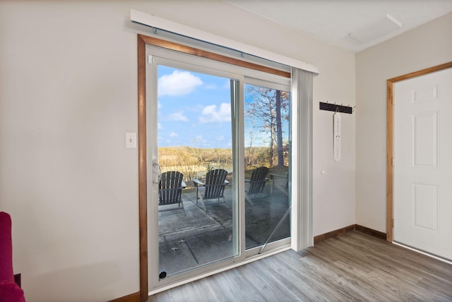 entryway featuring hardwood / wood-style flooring