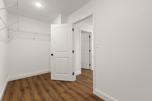 spacious closet with dark wood-type flooring