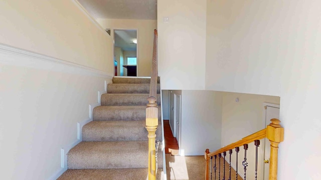 staircase featuring carpet floors