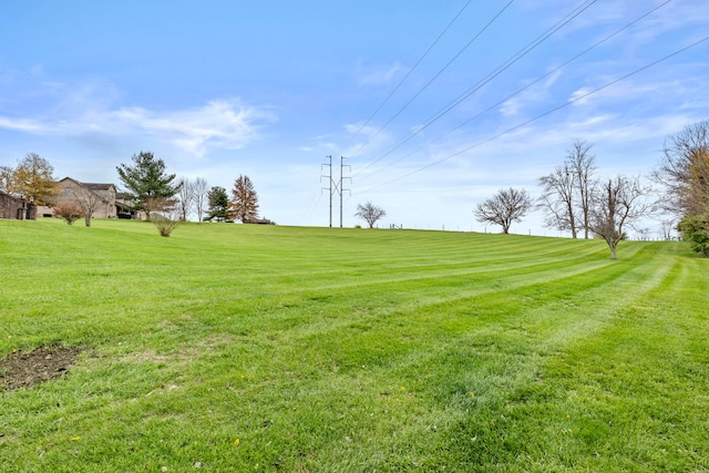 view of yard