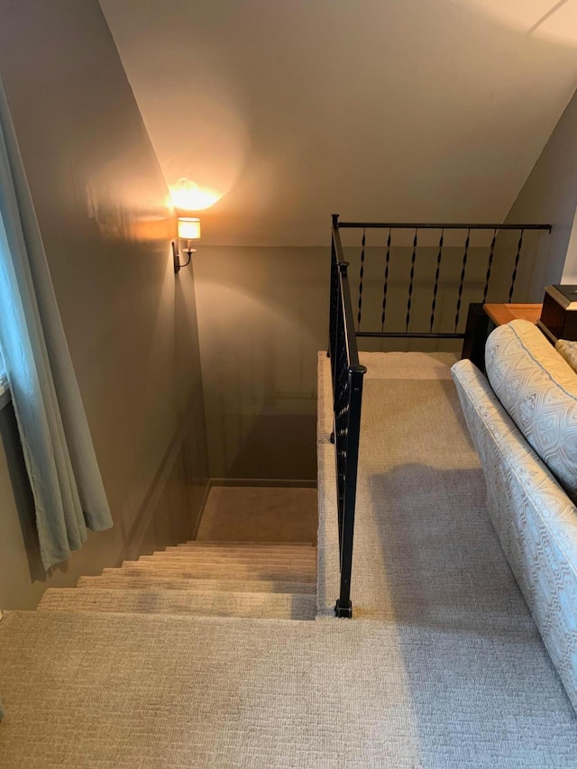 stairway featuring carpet