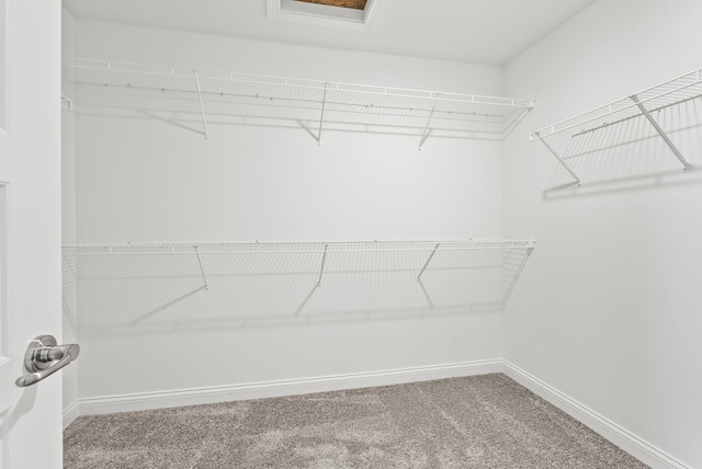 walk in closet featuring carpet flooring