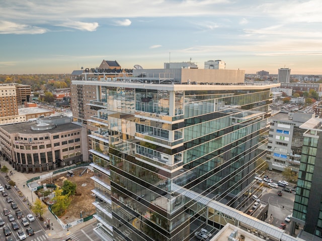 103 S Limestone St Unit 1020, Lexington, KY 40507 - view of city