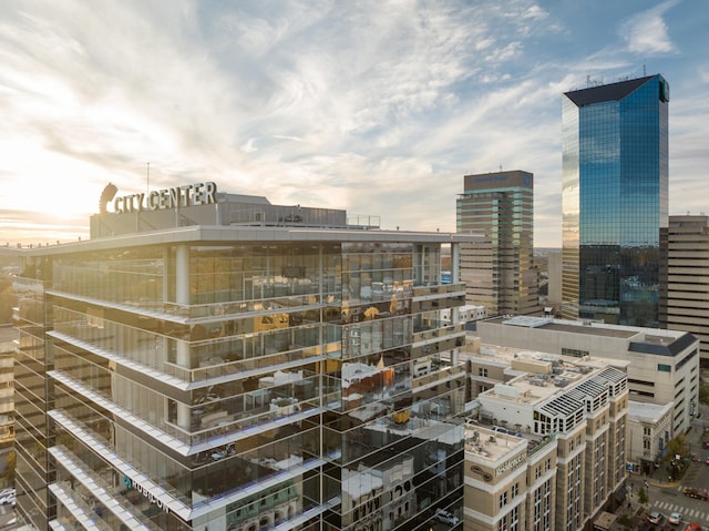 103 S Limestone St Unit 1020, Lexington, KY 40507 - view of city