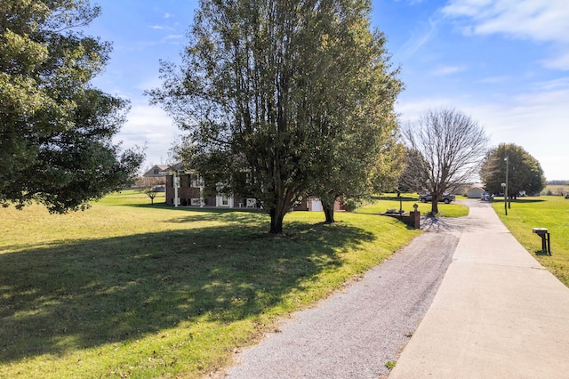 view of property's community featuring a yard